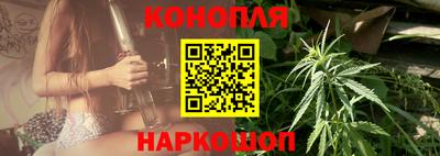крисы Краснодар