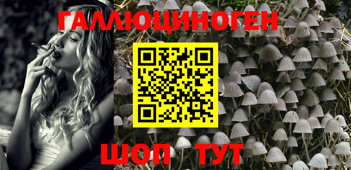 Псилоцибиновые грибы MAGIC MUSHROOMS  Галлюциногенные грибы Psilocybine cubensis  где найти наркотики  Киселёвск  Вход с VPN 